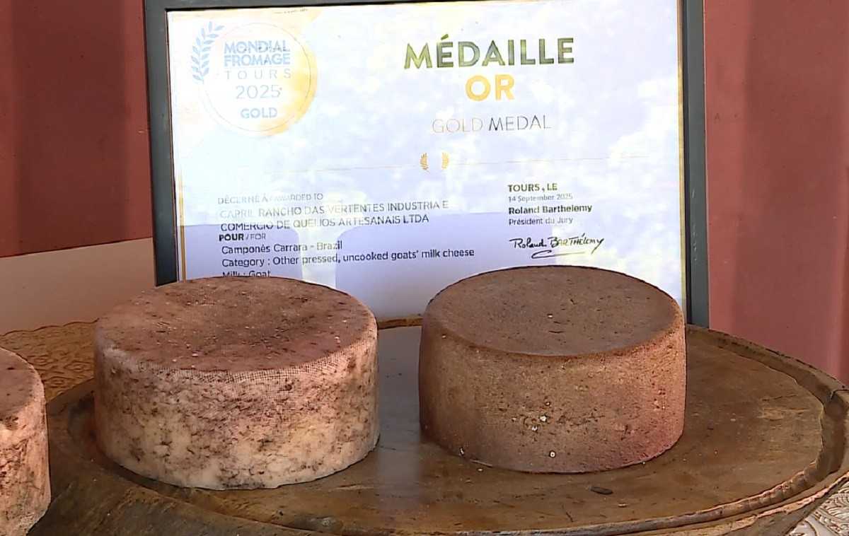 Fique por dentro das últimas notícias e acontecimentos em Queijo mineiro exótico com açaí e beterraba conquista ouro em concurso mundial na França no Port