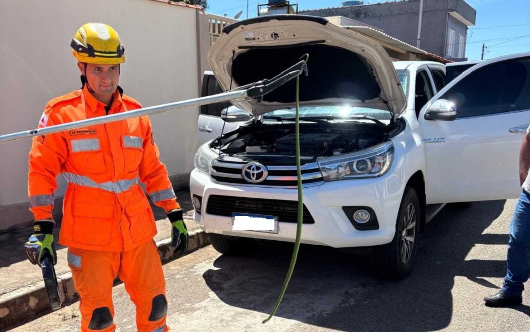 Fique por dentro das últimas notícias e acontecimentos em Resgate inusitado em Campo Belo mobiliza Corpo de Bombeiros no Portal Minas. Veja os termos mais pes