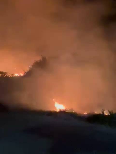 Fique por dentro das últimas notícias e acontecimentos em Mulher Causa Incêndio em Tentativa de Limpeza de Terreno em Santana do Paraíso no Portal Minas. Ve